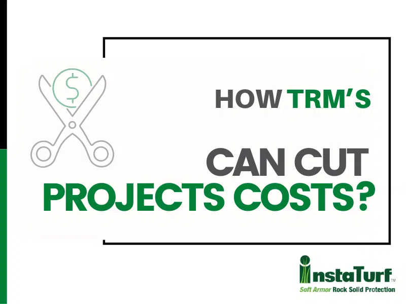 How TRM’s Can Cut Projects Costs?