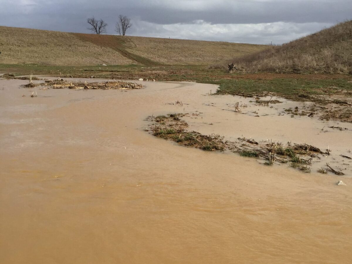 Peabody Streambank - InstaTurf