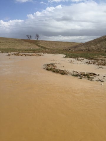 Streambank protected by ShearForce10 during flood