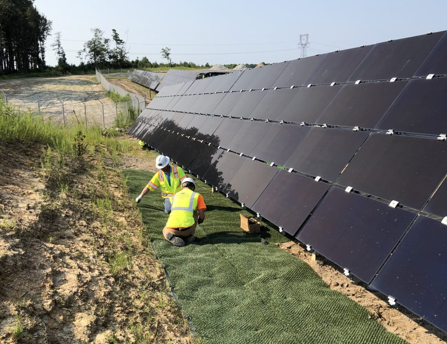 Dripline Dilemmas: How Leading States Are Shaping Erosion Control for ...